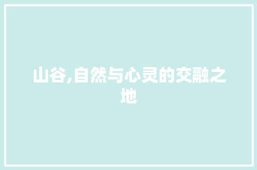 山谷,自然与心灵的交融之地