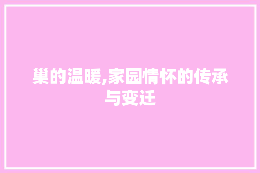 巢的温暖,家园情怀的传承与变迁