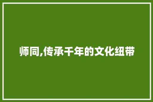 师同,传承千年的文化纽带 工作报告