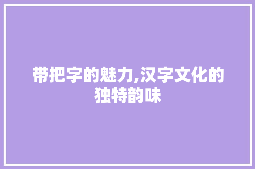 带把字的魅力,汉字文化的独特韵味