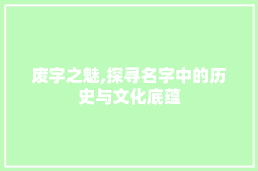 废字之魅,探寻名字中的历史与文化底蕴