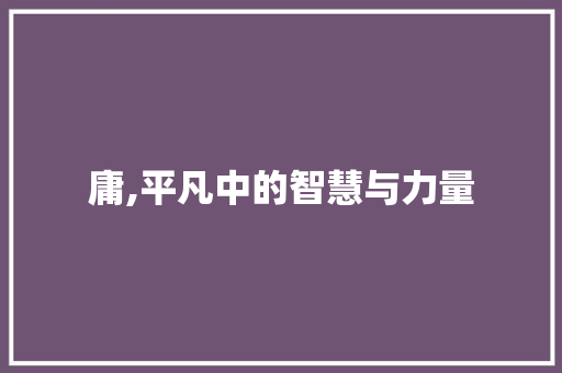 庸,平凡中的智慧与力量