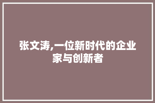 张文涛,一位新时代的企业家与创新者