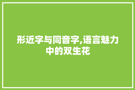 形近字与同音字,语言魅力中的双生花