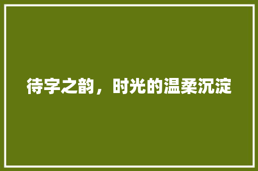 待字之韵，时光的温柔沉淀