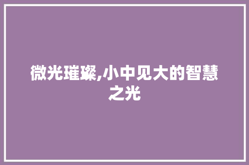 微光璀璨,小中见大的智慧之光