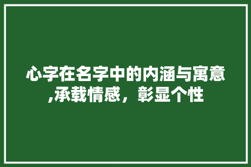 心字在名字中的内涵与寓意,承载情感，彰显个性