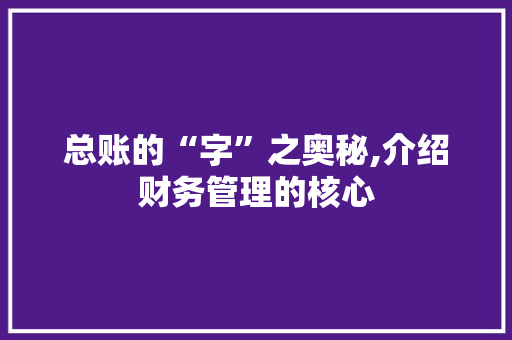 总账的“字”之奥秘,介绍财务管理的核心 商业文稿