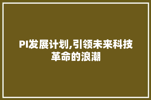 PI发展计划,引领未来科技革命的浪潮