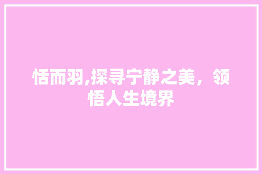 恬而羽,探寻宁静之美，领悟人生境界