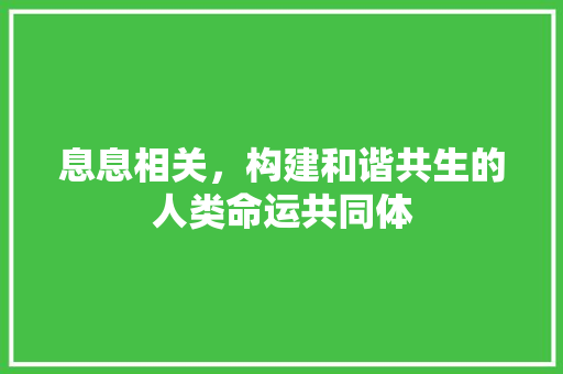 息息相关，构建和谐共生的人类命运共同体