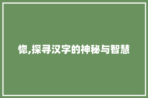 惚,探寻汉字的神秘与智慧
