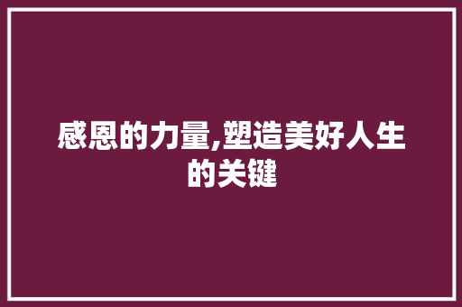 感恩的力量,塑造美好人生的关键 生活感悟