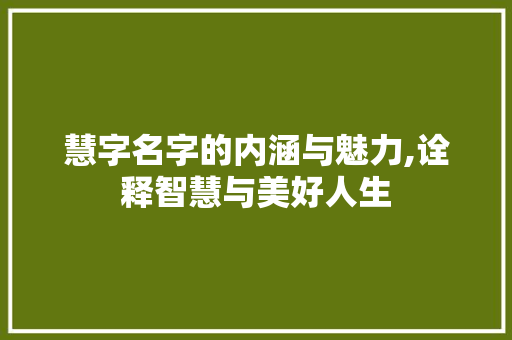 慧字名字的内涵与魅力,诠释智慧与美好人生