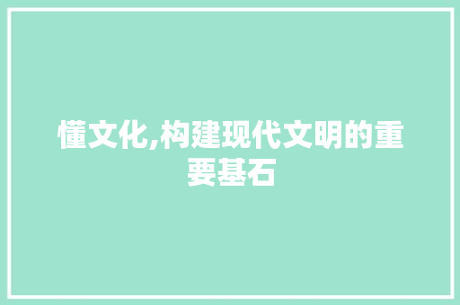 懂文化,构建现代文明的重要基石 工作总结