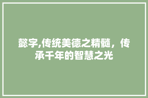 懿字,传统美德之精髓，传承千年的智慧之光 工作报告