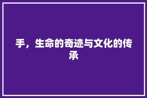 手，生命的奇迹与文化的传承
