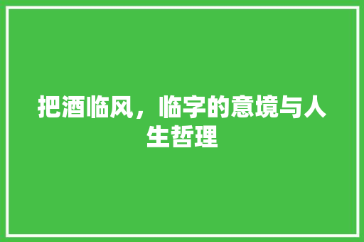 把酒临风，临字的意境与人生哲理 工作类