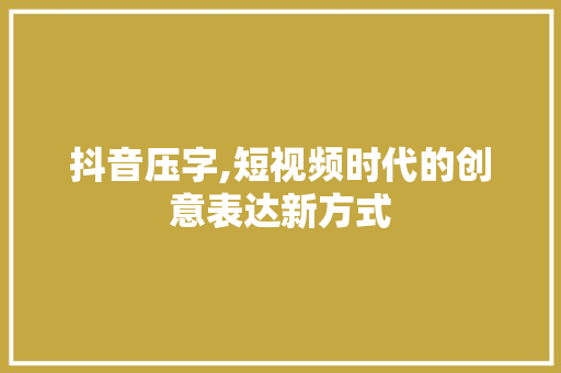 抖音压字,短视频时代的创意表达新方式 工作总结