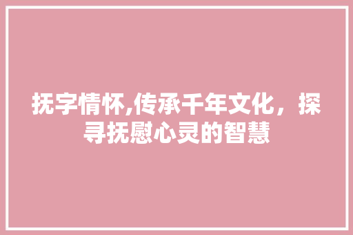抚字情怀,传承千年文化，探寻抚慰心灵的智慧