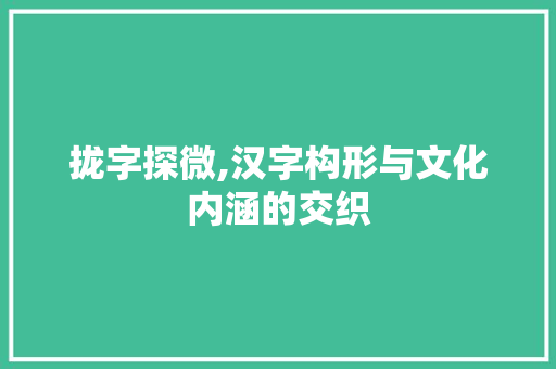 拢字探微,汉字构形与文化内涵的交织 工作报告