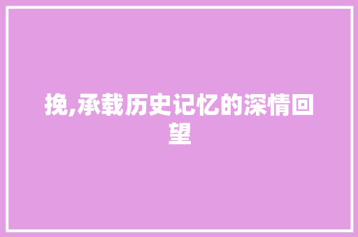 挽,承载历史记忆的深情回望