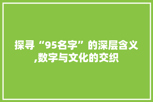 探寻“95名字”的深层含义,数字与文化的交织 生活类