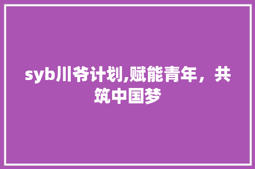 syb川爷计划,赋能青年，共筑中国梦