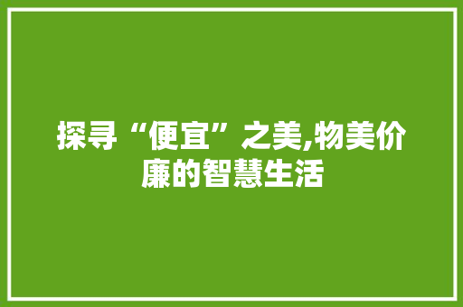 探寻“便宜”之美,物美价廉的智慧生活