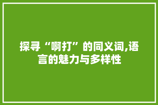 探寻“啊打”的同义词,语言的魅力与多样性