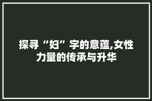 探寻“妇”字的意蕴,女性力量的传承与升华 工作报告
