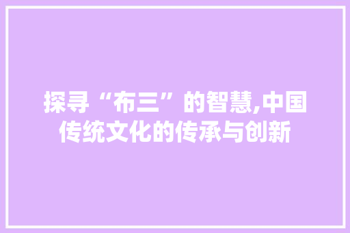 探寻“布三”的智慧,中国传统文化的传承与创新 工作总结