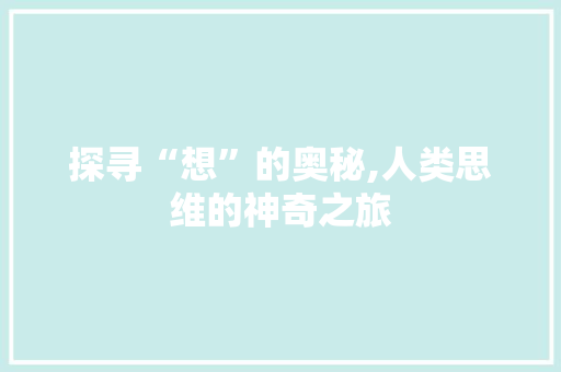 探寻“想”的奥秘,人类思维的神奇之旅 工作总结