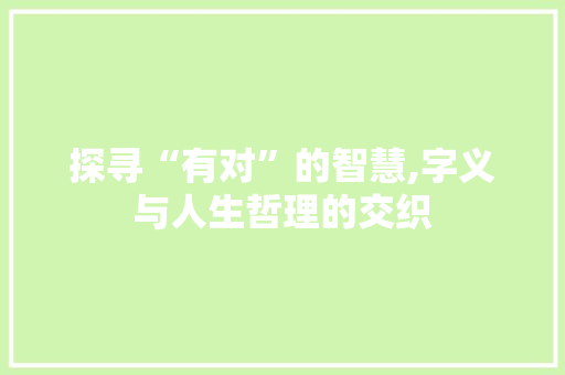 探寻“有对”的智慧,字义与人生哲理的交织