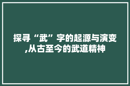 探寻“武”字的起源与演变,从古至今的武道精神