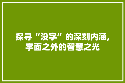 探寻“没字”的深刻内涵,字面之外的智慧之光 生活类