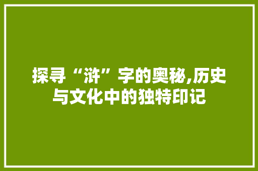 探寻“浒”字的奥秘,历史与文化中的独特印记 工作报告