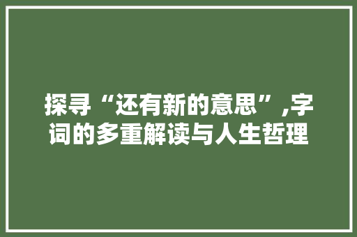 探寻“还有新的意思”,字词的多重解读与人生哲理