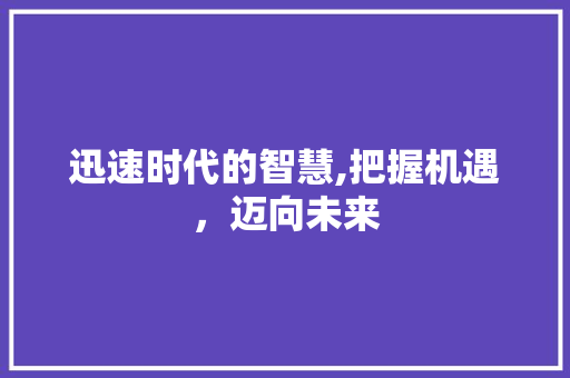 迅速时代的智慧,把握机遇，迈向未来 工作报告