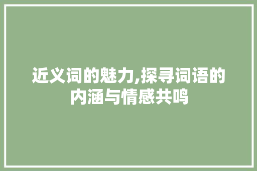 近义词的魅力,探寻词语的内涵与情感共鸣