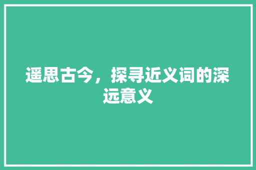 遥思古今，探寻近义词的深远意义