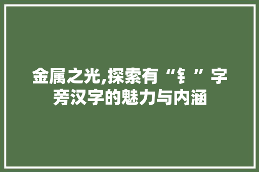 金属之光,探索有“钅”字旁汉字的魅力与内涵