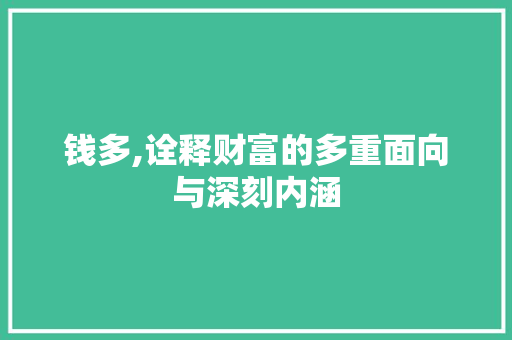 钱多,诠释财富的多重面向与深刻内涵