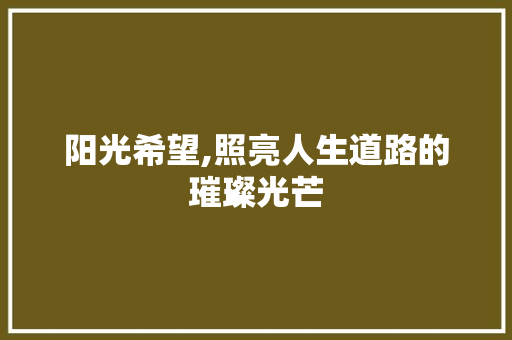 阳光希望,照亮人生道路的璀璨光芒
