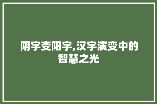 阴字变阳字,汉字演变中的智慧之光