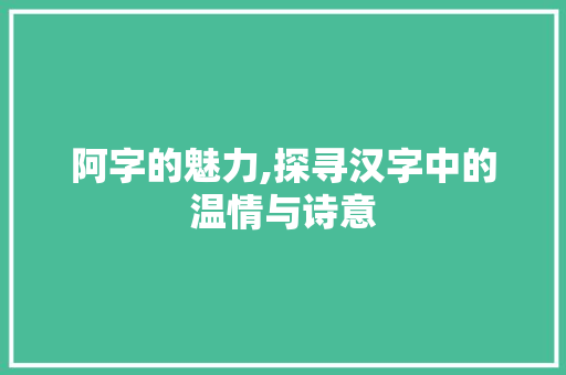 阿字的魅力,探寻汉字中的温情与诗意 采访稿