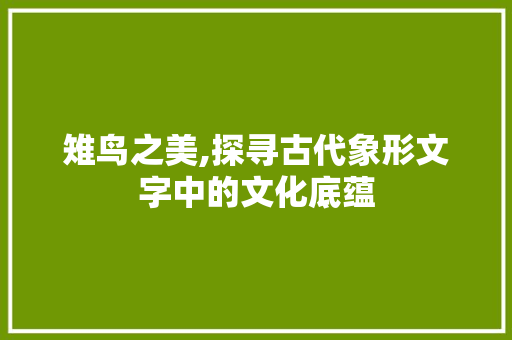 雉鸟之美,探寻古代象形文字中的文化底蕴