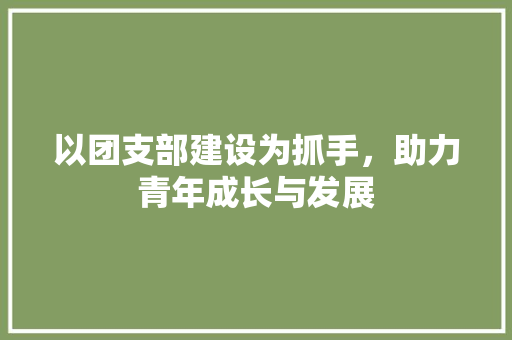 以团支部建设为抓手，助力青年成长与发展