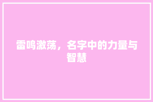 雷鸣激荡，名字中的力量与智慧