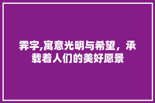 霁字,寓意光明与希望，承载着人们的美好愿景